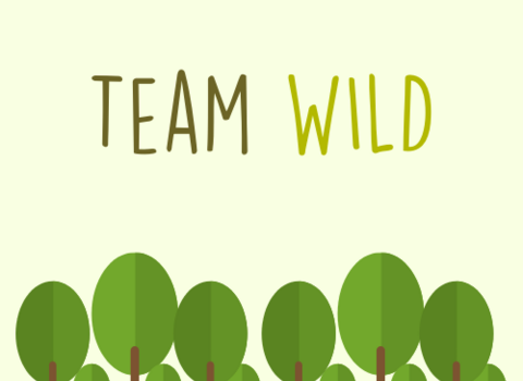 Team WILD graphic