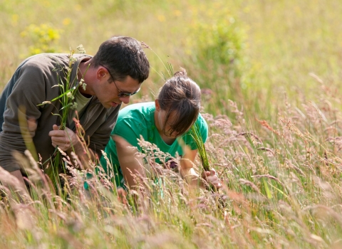Two people conducting a grassland survey