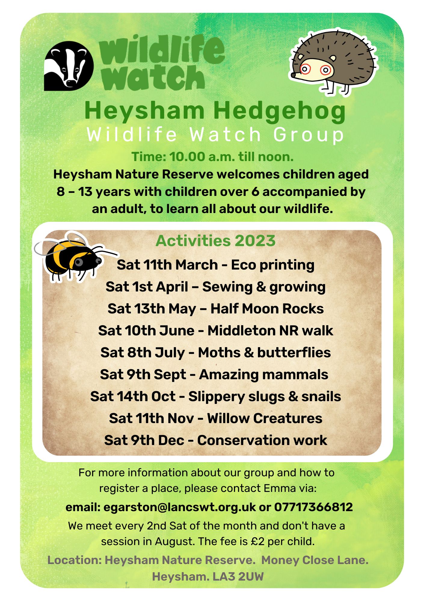Wildlife Watch Heysham Hedgehog  
