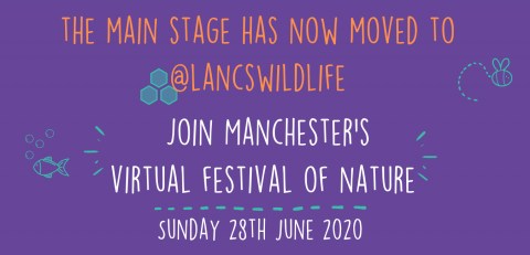 Manchester Festival of Nature has moved to @lancswildlife