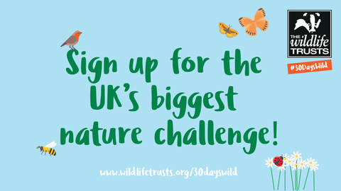 Sign up for 30 Days Wild 2021 - the UK's biggest nature challenge