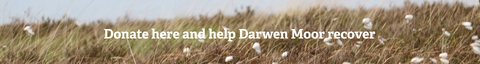A photo of cottongrass with 'Donate here and help Darwen Moor recover' written over