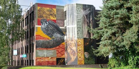 The peat based mural in rochdale