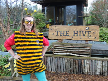 Bee at The Hive