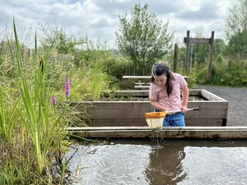 A girl pond dipping at Brockholes 