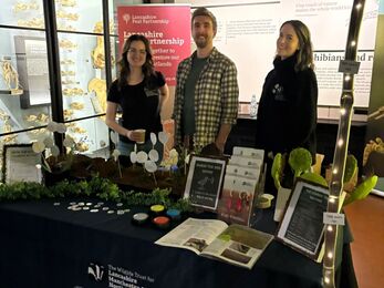 A stand at an event with lots of leaflets on the table