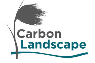 Carbon Landscape Logo