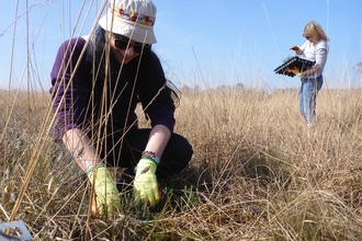 Volunteers in the Carbon Landscape