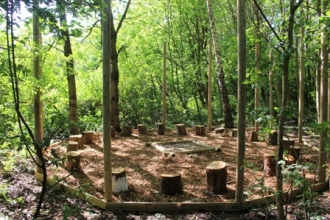 school grounds - springfield park