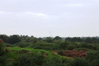 The landscape of Freshfield Dune Heath