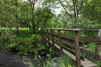 A wooden bridge across a river at Heysham Moss nature reserve