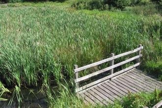 A viewing platform at the edge of Over Kellet Pond