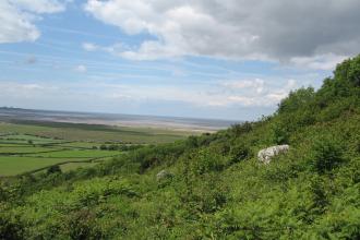 Warton Crag