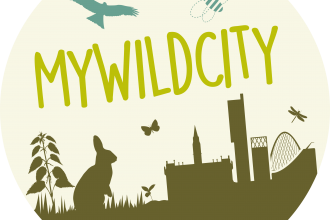 My Wild City