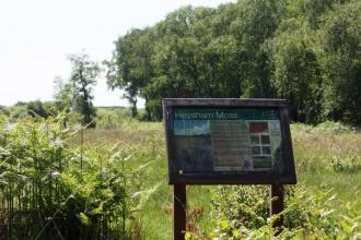 A Lancashire Wildlife Trust sign at the entrance to Heysham Moss nature reserve