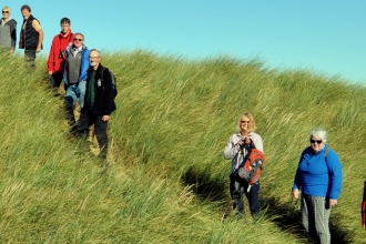 Sand Dunes
