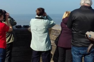 Seawatch
