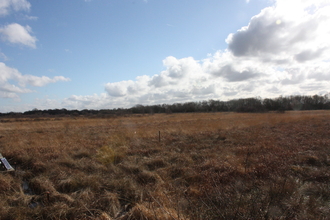 Astley Moss