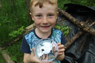 minibeast hunt brockholes