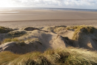 Sand dunes