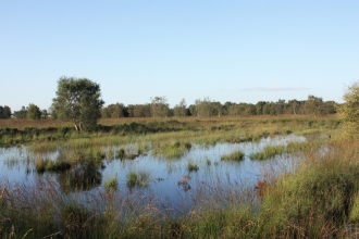 The boggy landscape of Cadishead Moss