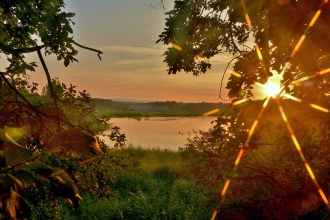Brockholes Sunrise