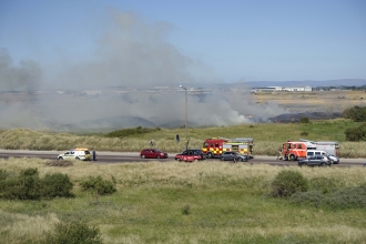 Damage caused to the Fylde Sand Dunes following the fires 