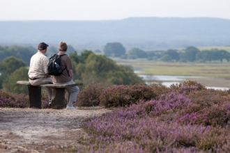 A couple sitting on a bench and admiring the natural landscape