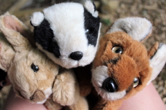 forest school teddies