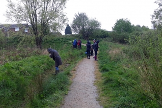 City Nature Challenge recording event - Moston Fairway