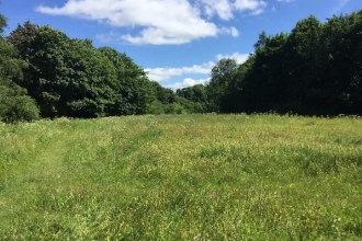 The restored wildflower meadow at Ousel Nest LNR