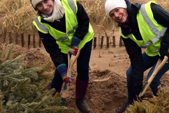 Planting Christmas Trees
