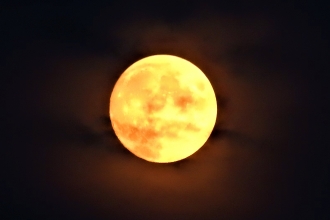 The moon over the moss by Dave Steel