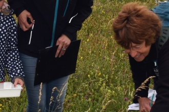 Visitors doing a bioblitz on the Fylde sand dunes with Lancashire Wildlife Trust