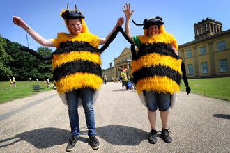 Two people dressed as bees at the 2019 Manchester Festival of Nature