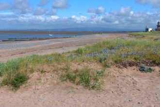 Grass and wildflowers growing on Fleetwood beach