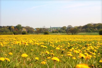 Croxteth Park