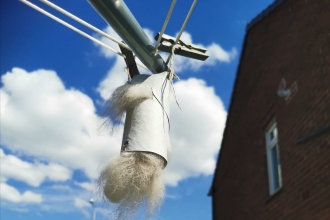 Bird nesting material taken by participant