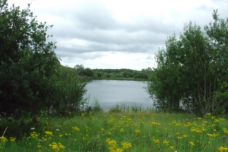 Brockholes by Michelle