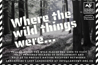 Where the wild things were