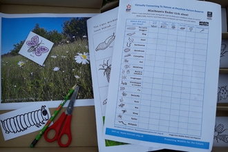 Heysham Nature Tots