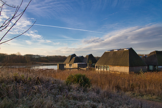 Frosty Morning Walk 