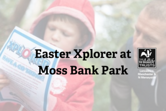 Easter Xplorer