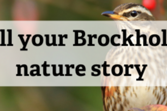 Tell your Brockholes Nature Story
