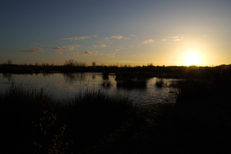 Little Woolden Moss bog pool in silhouette at sunrise