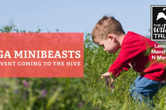 mini beasts