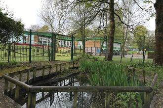 A wildlife pond in the grounds of St Michael's C of E Primary School