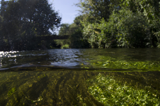 River