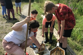 A family stare into a white tray at the selection of minibeasts they have discovered from their North Manchester pond