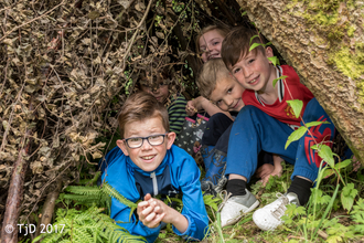 Den building 